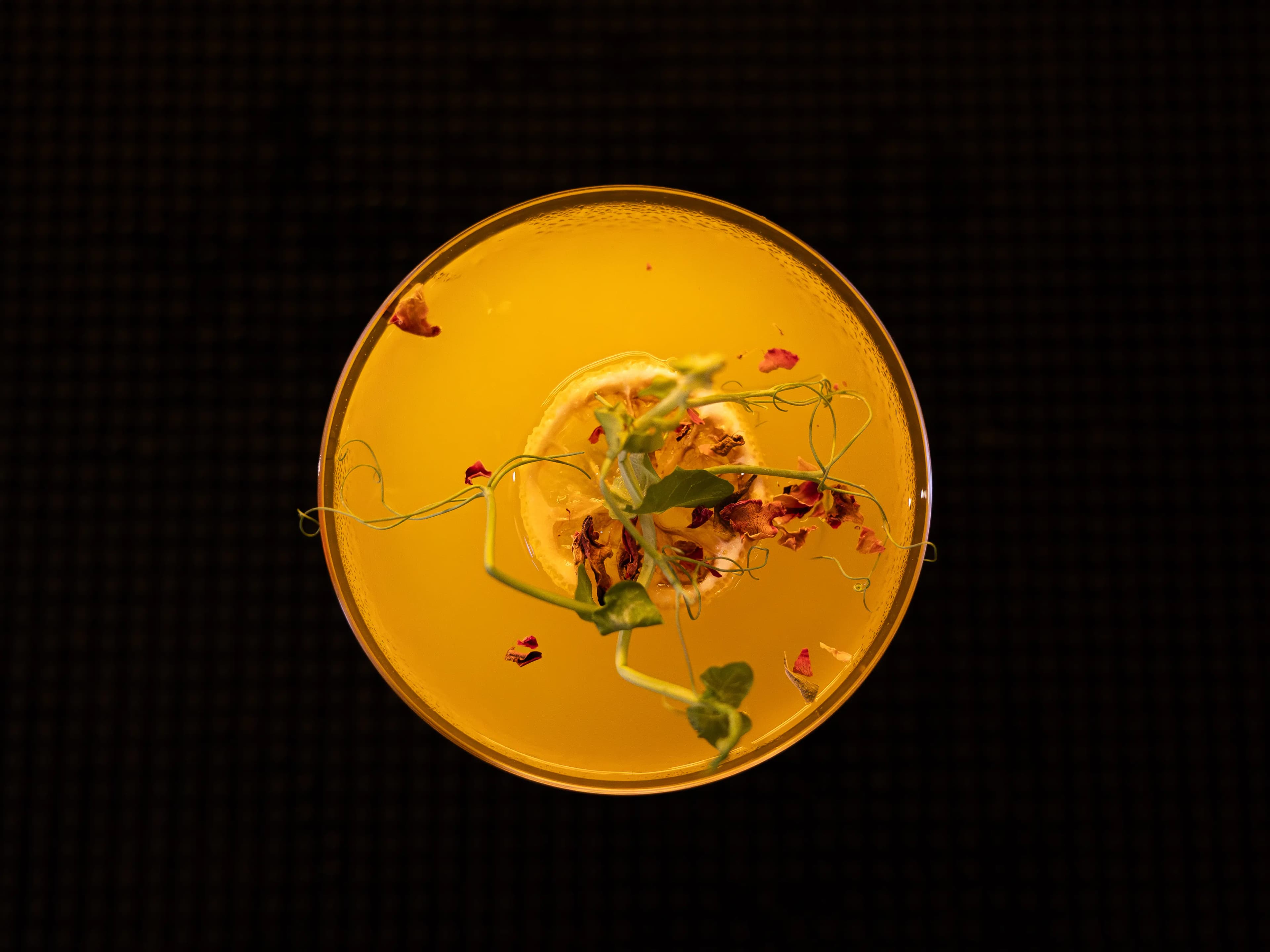 Signature Cocktails | KLARA Charcoal Dining + Bar